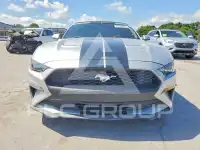 2019 Ford MUSTANG фото