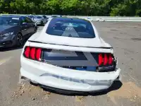 2019 Ford MUSTANG фото