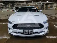 2019 Ford MUSTANG photo