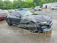 2019 Ford MUSTANG photo
