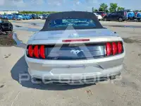 2019 Ford MUSTANG photo