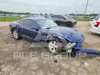 2019 Ford MUSTANG photo