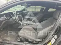 2019 Ford MUSTANG photo