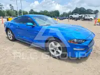 2019 Ford MUSTANG photo