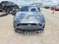 2019 Ford MUSTANG фото