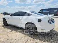2019 Ford MUSTANG photo