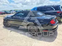 2019 Ford MUSTANG photo