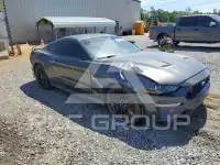 2019 Ford MUSTANG photo