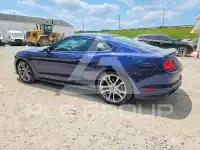 2019 Ford MUSTANG фото