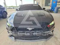 2019 Ford MUSTANG фото
