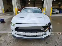 2019 Ford MUSTANG photo