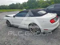 2019 Ford MUSTANG photo