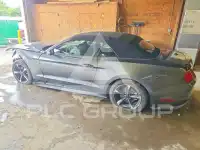 2019 Ford MUSTANG фото