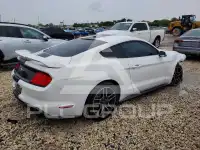 2019 Ford MUSTANG фото