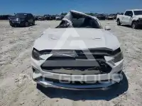 2019 Ford MUSTANG photo