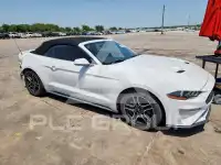 2019 Ford MUSTANG photo