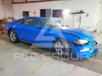 2019 Ford MUSTANG фото