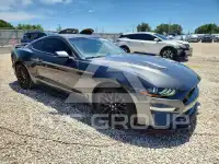 2019 Ford MUSTANG фото