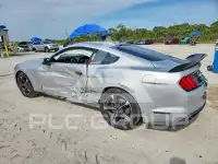 2019 Ford MUSTANG фото