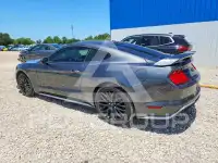 2019 Ford MUSTANG фото