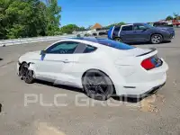 2019 Ford MUSTANG фото