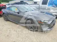 2019 Ford MUSTANG photo