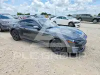 2019 Ford MUSTANG фото