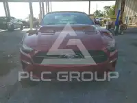 2019 Ford MUSTANG фото