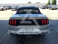 2019 Ford MUSTANG photo