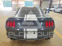 2019 Ford MUSTANG фото