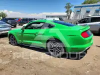 2019 Ford MUSTANG фото