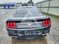2019 Ford MUSTANG photo