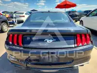 2019 Ford MUSTANG фото