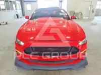 2019 Ford MUSTANG photo