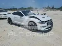 2019 Ford MUSTANG photo