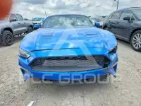 2019 Ford MUSTANG фото