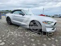 2019 Ford MUSTANG photo