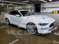 2019 Ford MUSTANG photo