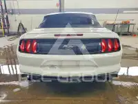 2019 Ford MUSTANG photo