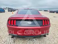 2019 Ford MUSTANG photo