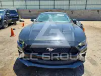 2019 Ford MUSTANG фото