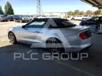 2019 Ford MUSTANG photo