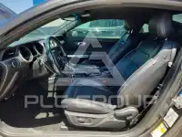 2019 Ford MUSTANG фото