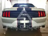2019 Ford MUSTANG фото