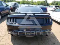 2019 Ford MUSTANG фото