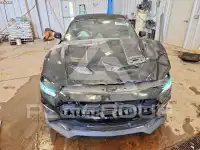 2019 Ford MUSTANG фото