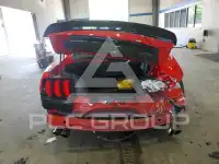 2019 Ford MUSTANG photo