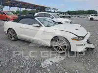 2019 Ford MUSTANG photo