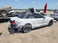 2019 Ford MUSTANG photo
