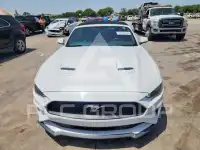 2019 Ford MUSTANG photo